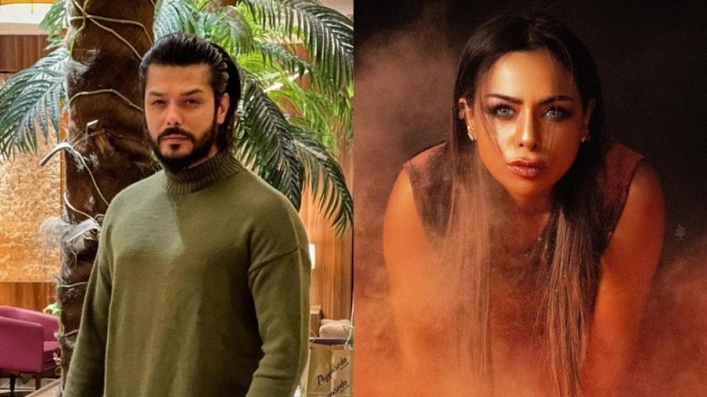 فنانة كويتية تثير جدلا بمنشور الحمار الذي أكل الوردة.. من المقصود؟