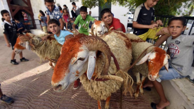 عائلات جزائرية تستقبل كبش العيد بالحناء والسكر والزغاريد