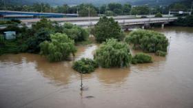 في كوريا الشمالية.. هل يأكل السكان الأطعمة التي تجرفها السيول ؟