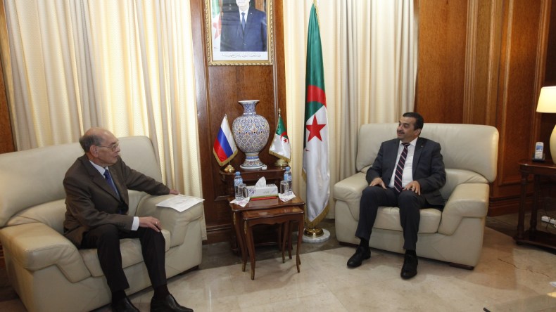 شراكة بين الجزائر وروسيا في مجال الكهرباء النووية