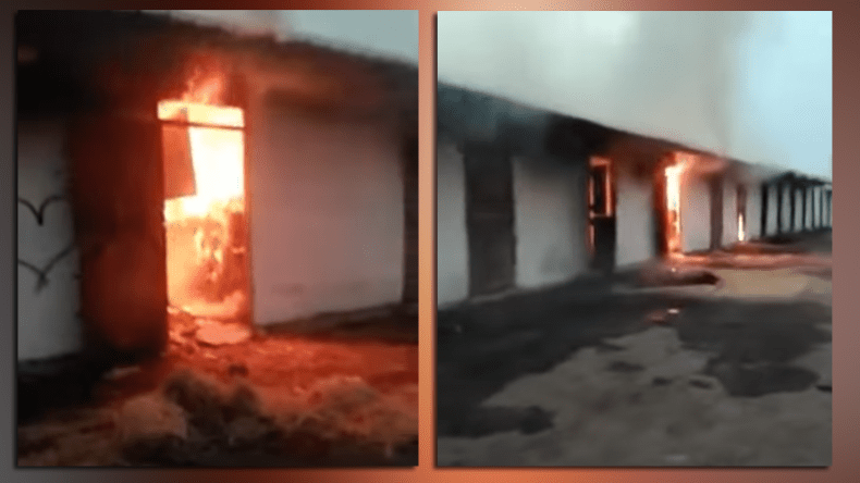 معجزة أنقذت حيوانات حديقة “برابطية”