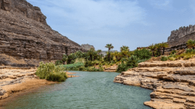 هذا عدد المصطافين في شواطئ سكيكدة منذ بداية الصيف