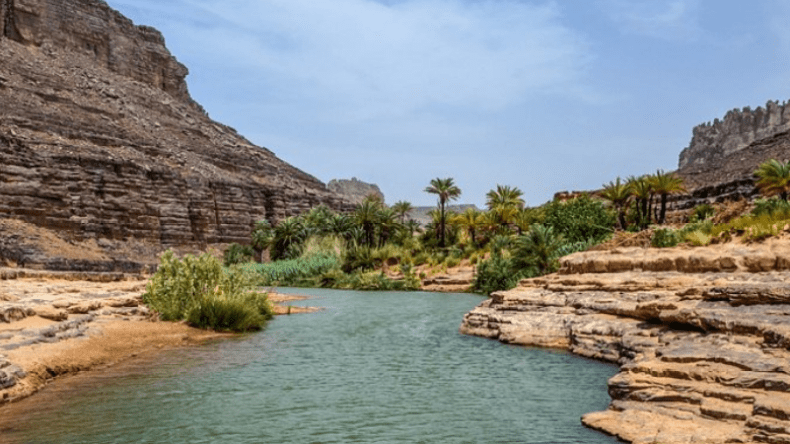 هذا عدد المصطافين في شواطئ سكيكدة منذ بداية الصيف