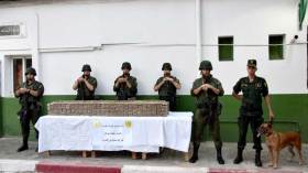 وزارة الدفاع: حجز 7 قناطير من المخدرات قادمة من المغرب