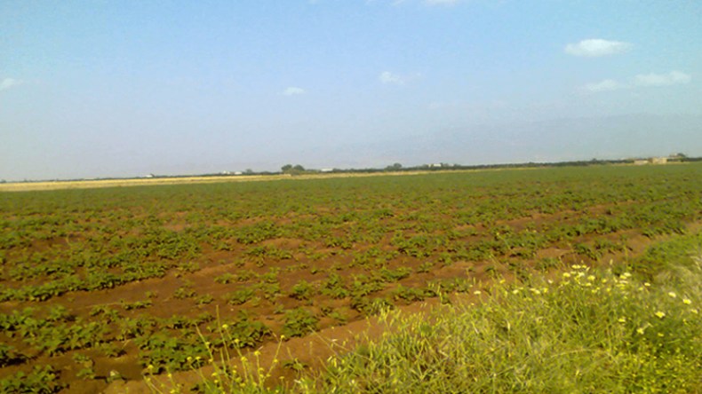 بيان هام للراغبين في الاستفادة من عقار فلاحي