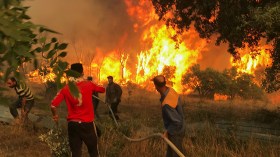 قُصَّر ومختلون عقليا وراء الحرائق