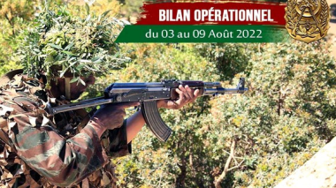 ANP: 5 éléments de soutien aux groupes terroristes arrêtés en une semaine