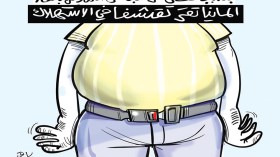 التقشف في ألمانيا