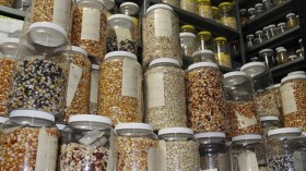 بذرة بنك البذور