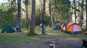 مخيمات غابية تفتقد معايير السلامة والأمن