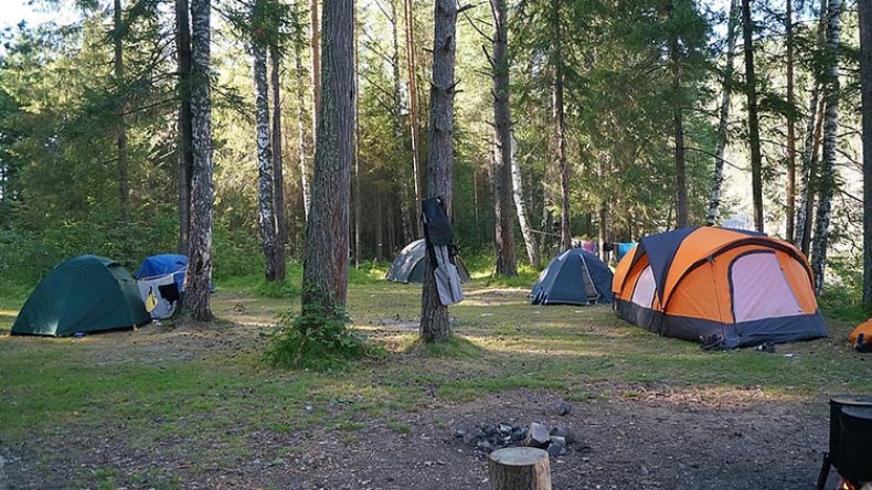 مخيمات غابية تفتقد معايير السلامة والأمن