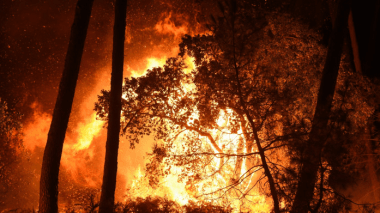 Feu de forets: Le premier ministre ce matin dans la wilaya d’El Taref