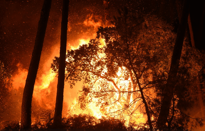 Feu de forets: Le premier ministre ce matin dans la wilaya d’El Taref