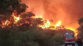 تضامن واسع للفلسطينيين مع الجزائر في حرائق الغابات