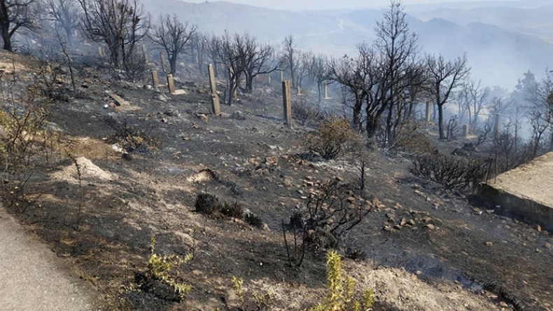 تعليمات صارمة للتكفل بكل ملفات حرائق الغابات