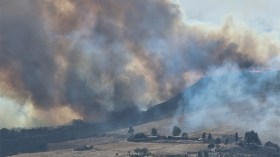 سبت من لهيب بغابات بجاية