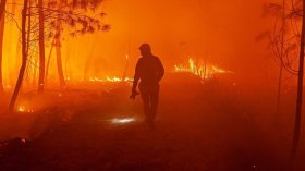 Feux de forêt: un présumé incendiaire interpellé et placé en détention provisoire