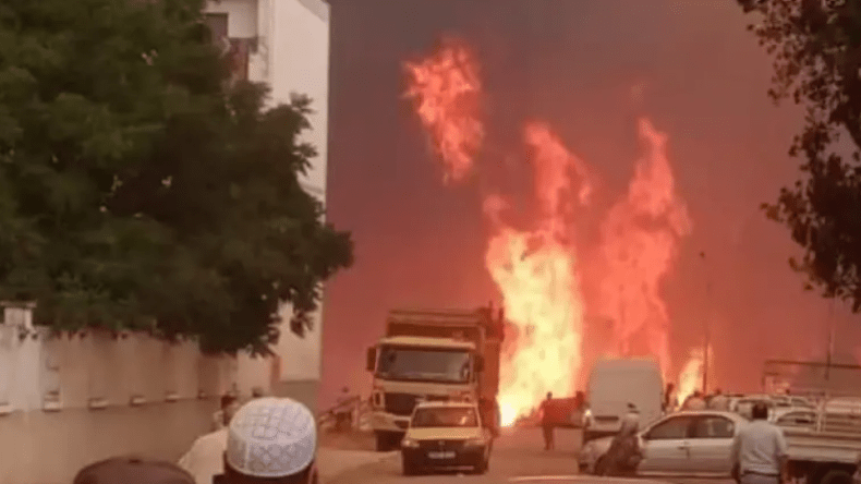 حرائق الغابات.. مرصد المجتمع المدني يطلق حملة لإغاثة المتضررين