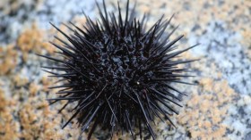 أخبار الجزائر ليوم السبت 13 أوت 2022