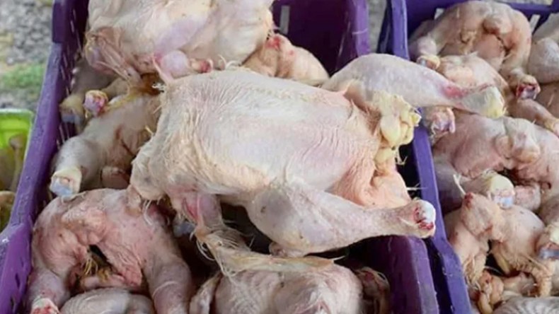 أخبار الجزائر ليوم الأربعاء 31 أوت 2022