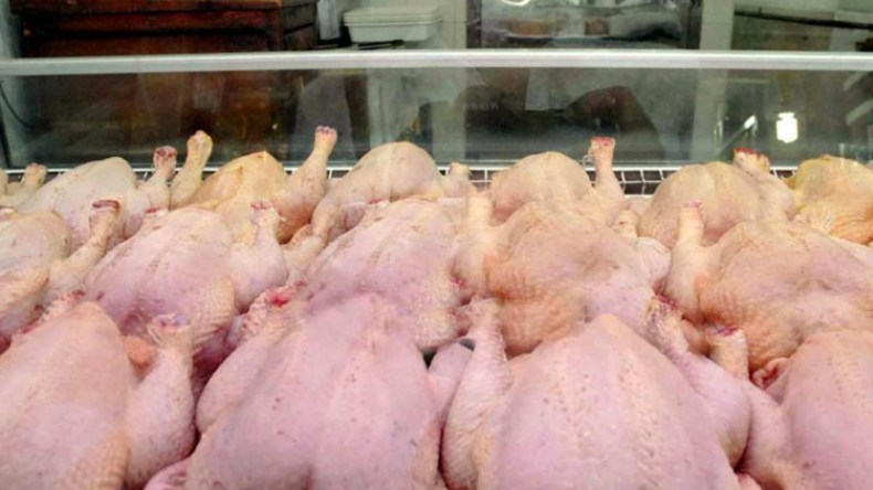 تراجع كبير لأسعار الدجاج بداية من سبتمبر