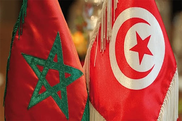 The Makhzen Media Launches A Campaign Of Insults, Defamation Against Tunisia