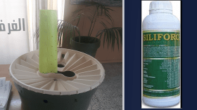 السقي الذكي.. مستقبل الفلاحة لمواجهة الجفاف