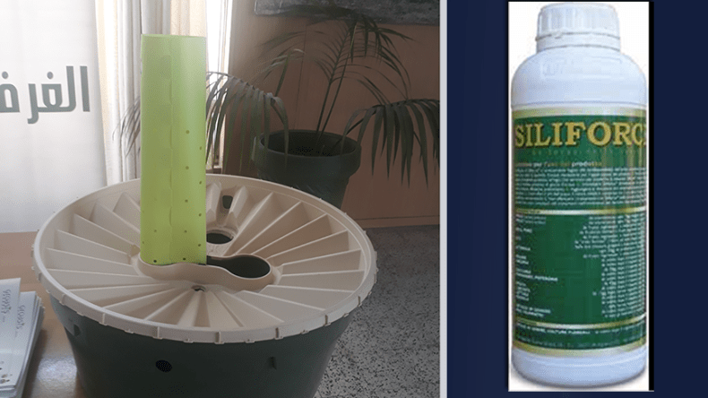 السقي الذكي.. مستقبل الفلاحة لمواجهة الجفاف