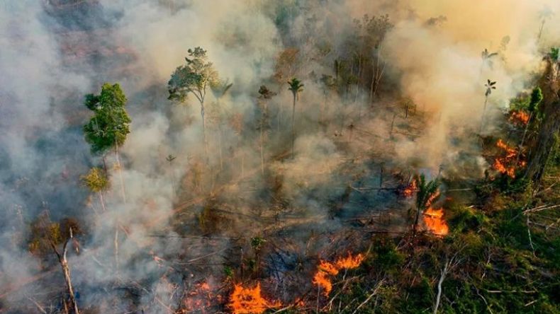 رئة العالم تحترق.. الأمازون تسجل رقما قياسيا للحرائق خلال يوم واحد