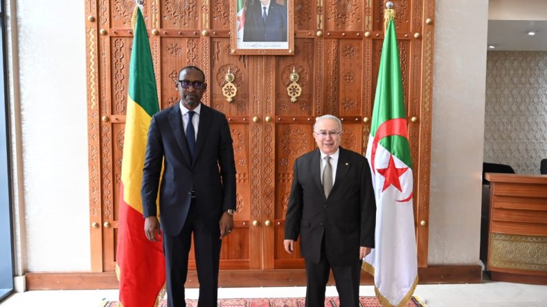 الدبلوماسية الجزائرية.. توغّل فعّال في الساحل الإفريقي