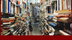 تاريخ حرب التحرير في قلب الدخول الأدبي الفرنسي