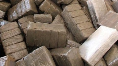 Sétif: Plus de 5 quintaux de cannabis saisis et 12 individus arrêtés