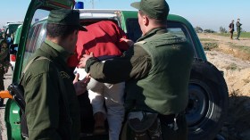 الدرك يوقف غشاش اللّبن بالعاصمة