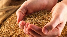 الأمن الغذائي والطاقوي والصحّي أولويات الأكاديمية الجزائرية للعلوم