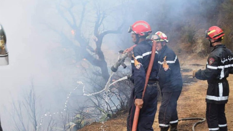 تعويض متضرري حرائق الغابات.. وزارة الفلاحة تباشر العملية    