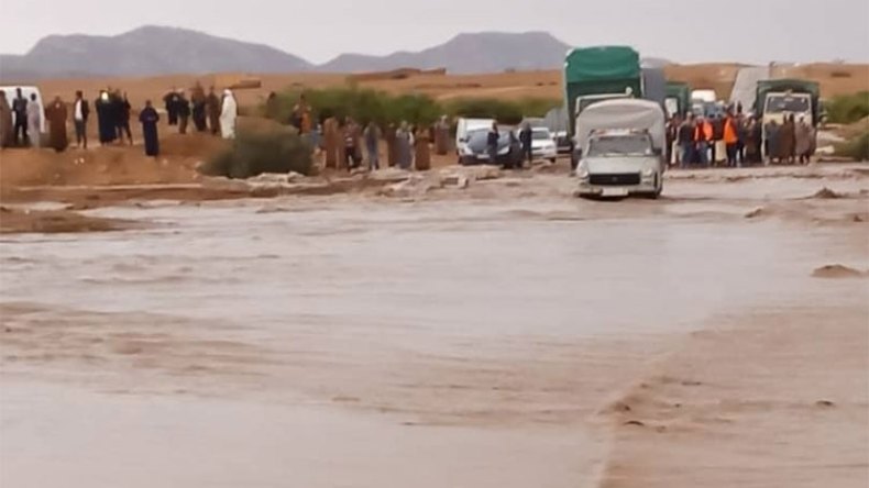 نفوق عشرات رؤوس الماشية في فيضانات بالجلفة