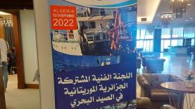 اتفاق حول منح الجزائر حصص صيد في المياه الإقليمية الموريتانية