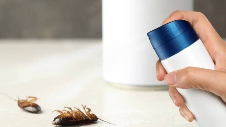 السجن لفتاة أردنية قتلت جدتها بمبيد الحشرات وسمّمت عائلتها