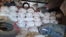 أمن البيض يحجز كمية هامة من القمح المدعم موجه للمضاربة