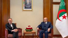 الوزير الأول يستقبل مدير مجمع “ستيلونتيس” لصناعة السيارات