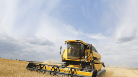 الأمن الغذائي.. معركة تخـضـيـر الصحراء!