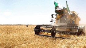 منتدى “دافوس”.. الجزائر من الدول الرائدة عالميا في مجال الأمن الغذائي