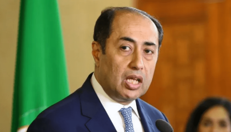 Hossam Zaki: “Algeria Harnessed All Means To Make Upcoming Arab Summit A Success”