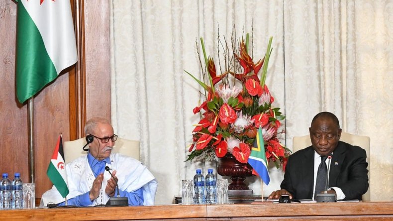 كاتب جنوب افريقي: النظام المغربي أسد على تونس ونعامة أمام بريتوريا