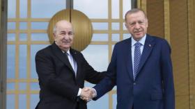 الرئيس تبون يتلقى مكالمة هاتفية من نظيره التركي