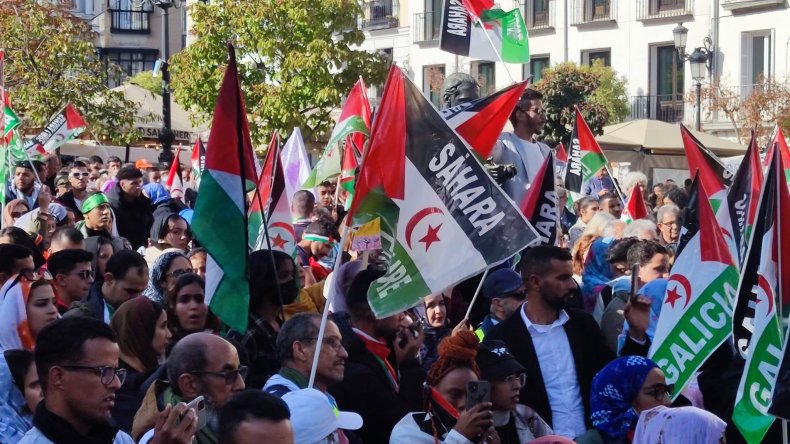 الصحراء الغربية : حقوقيون يطالبون المجتمع الدولي بتحقيق حول جرائم الحرب