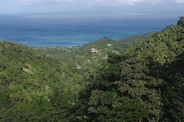 Trois territoires où personne n’habite en France, découvrez-les