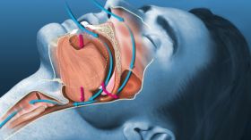 طبيبة روسية تحذّر من خطر الموت أثناء النوم بسبب الشخير