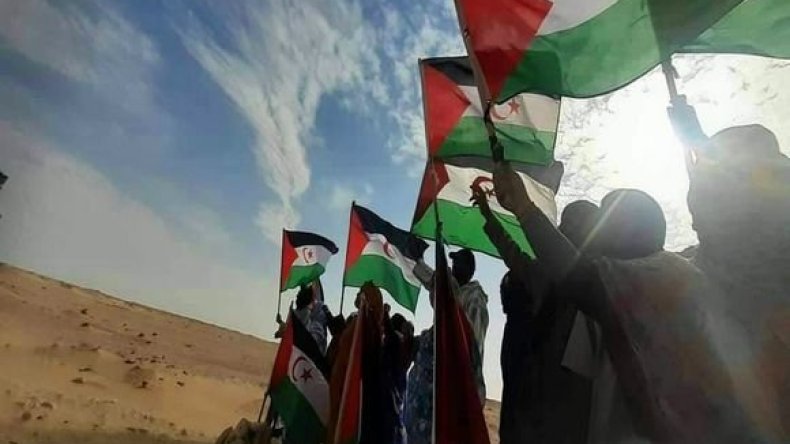 عريضة لتمويل مشروع موسيقي إسباني يدعم قضية الشعب الصحراوي