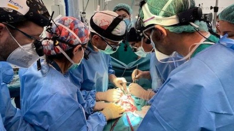 نجاح أول عملية زراعة أمعاء في العالم لطفلة بإسبانيا